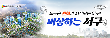 대구서구
