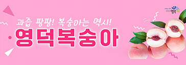 영덕복숭아