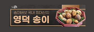 영덕송이