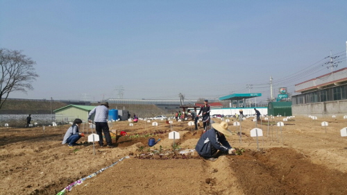 텃밭2 이미지