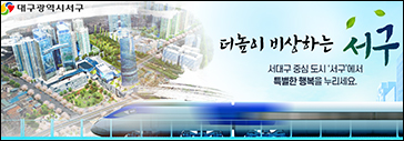 대구서구