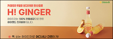 하이진저