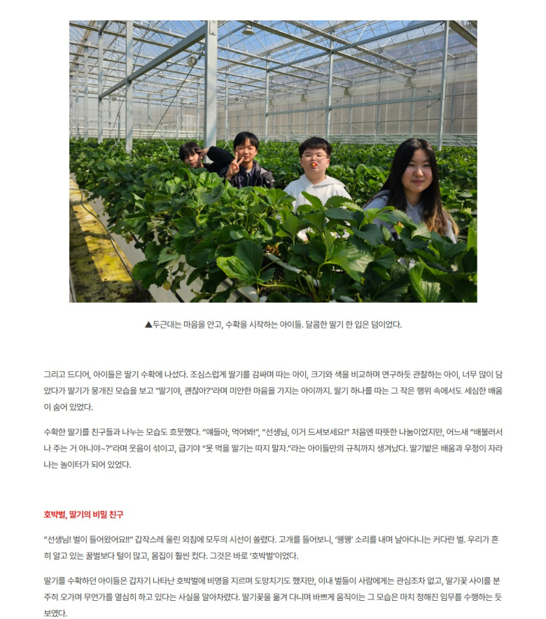 사벌초등학교 이미지