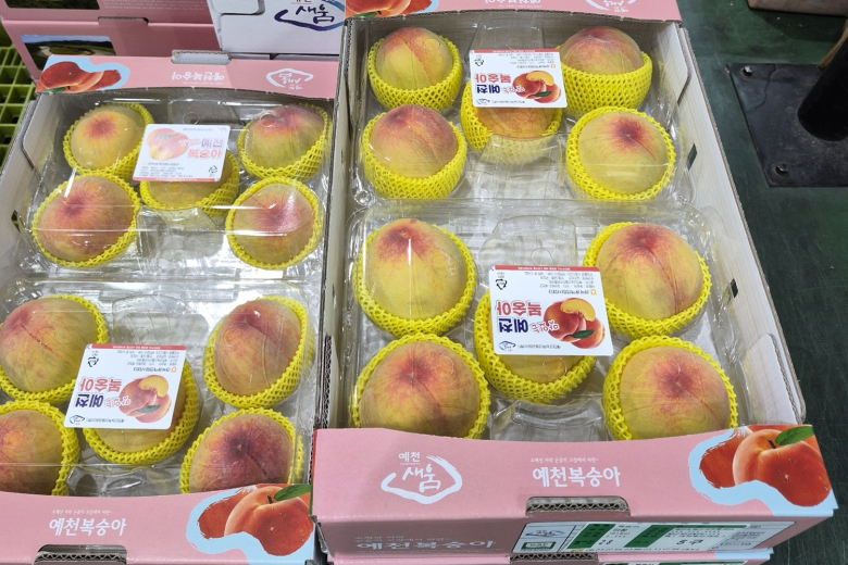 예천복숭아 사진 사진제공=예천군
