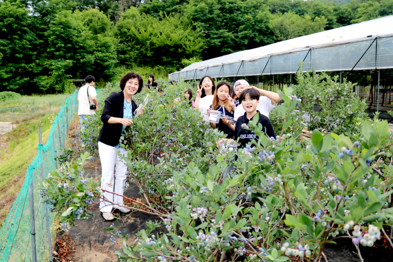 블루베리 체험.