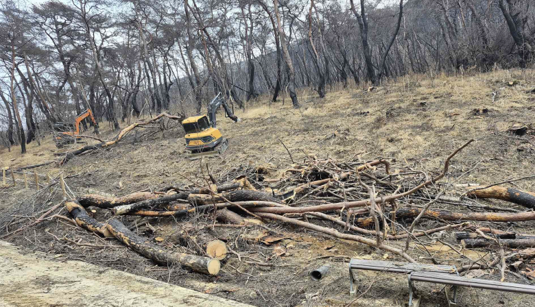 의성군은 산불 피해목 제거사업 산림조사와 실시설계를 추진한다. 사진제공=의성군