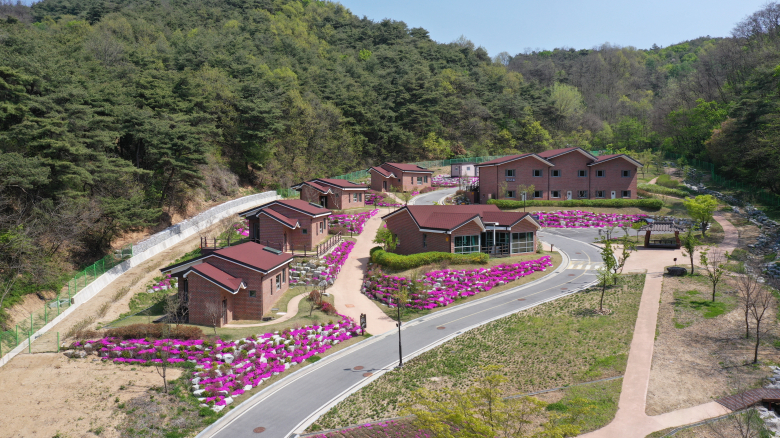 정자문화생활관 솔향촌.