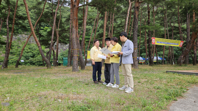 영덕군 하천·계곡 불법시설 정비 TF팀이 오천솔밭 일대에서 불법시설 자진 철거 이후 정비 상태와 주변 환경을 점검하고 있다.